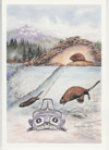 Beaver Dam
